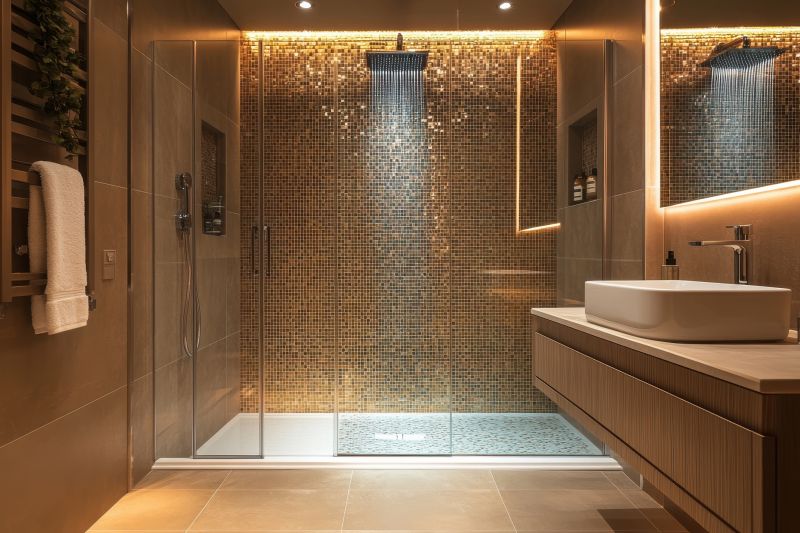Luxury Shower Area
