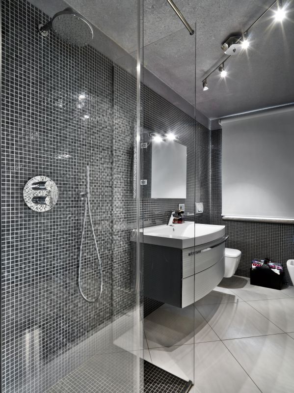 Stylish Shower Designs